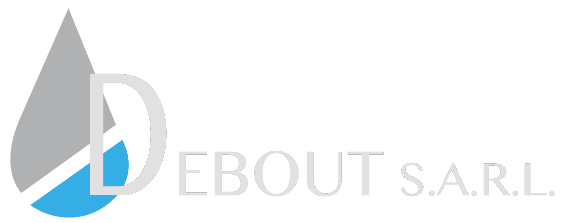 logo debout sarl